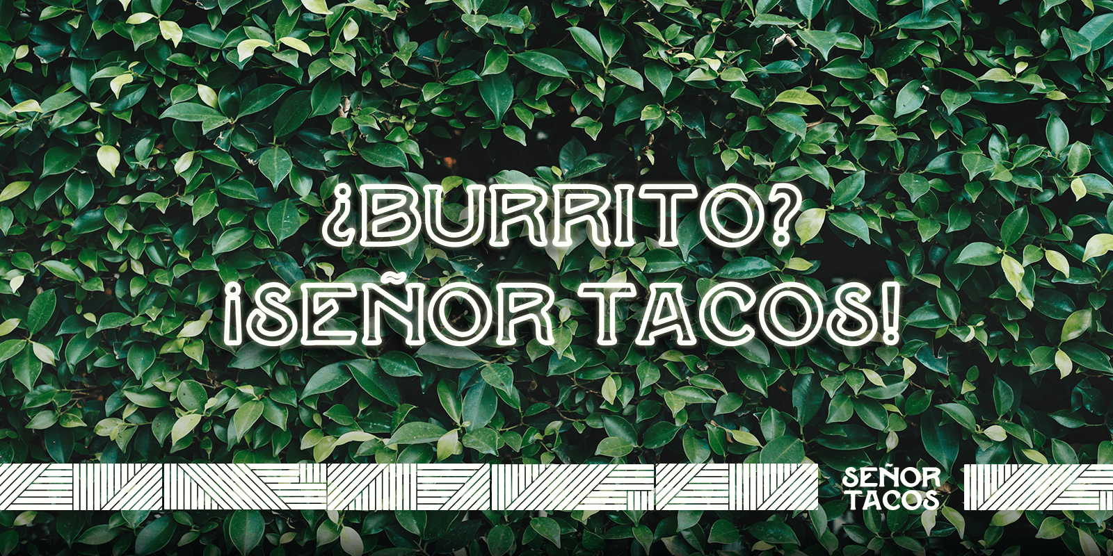 Senor Tacos Burrito