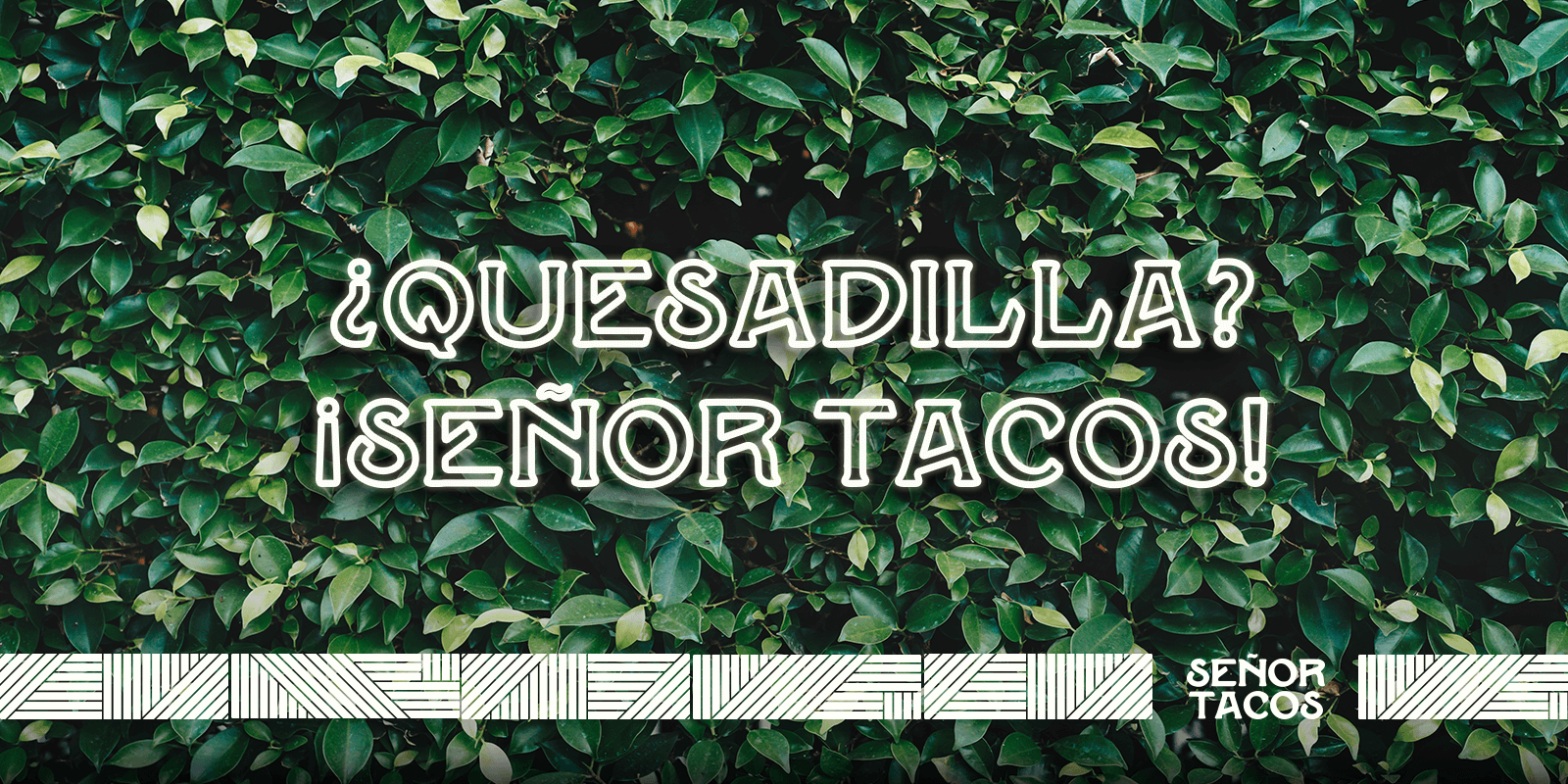 Senor Tacos Ques