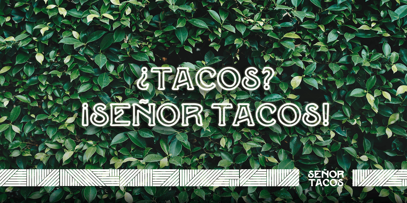 Senor Tacos tacos